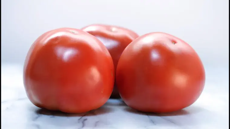 как собрать семена с томатов на следующий год