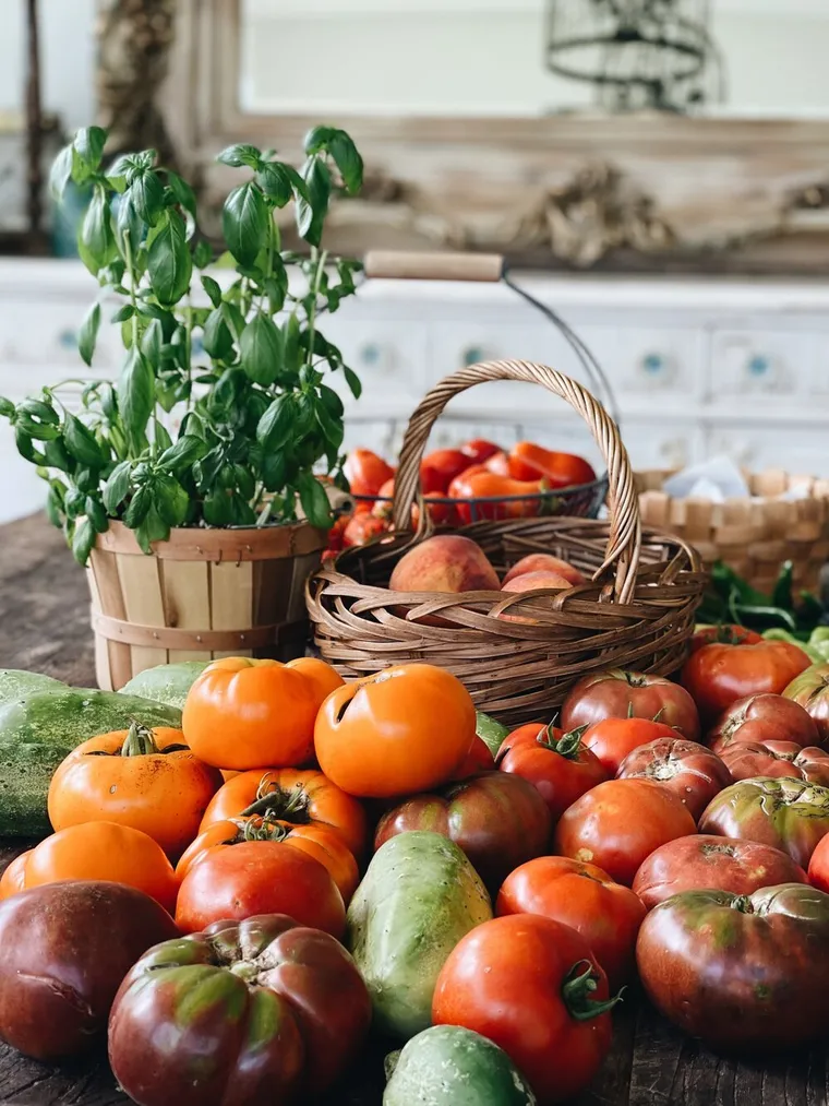 увеличить урожай томатов в огороде