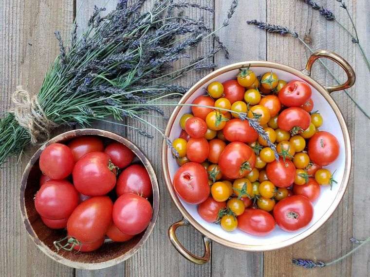 Как получить хороший урожай томатов? Проверенный метод для применения в вашем огороде!