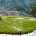 Автоматические системы полива.