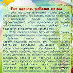 Что делать в саду летом?