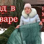Что делать в саду зимой?