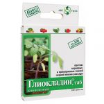 Как бороться с черной ножкой рассады