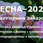 Продажа садовых растений и товаров через интернет.