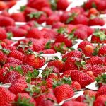 Секреты выращивания клубники круглый год