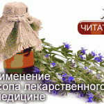 Шалфей — лечебные свойства и применение.