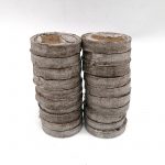 Выращивание рассады в торфяных таблетках.